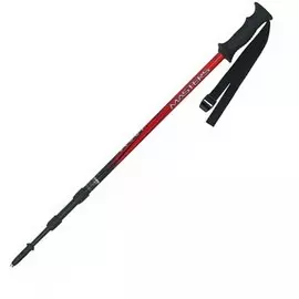 Палки Треккинговые Masters Scout Red