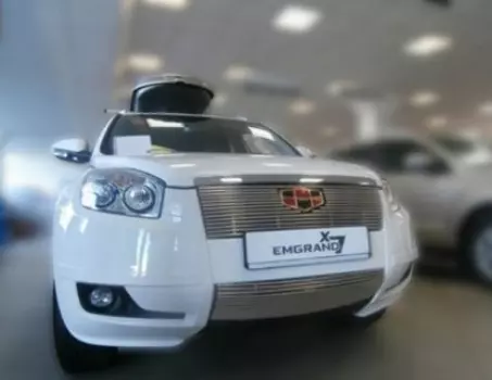 Накладка на решетку радиатора (диаметр 10 мм) Berkut-Auto GEX7.R11 Geely Emgrand X7 2017-