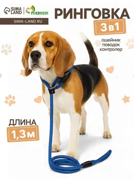 Ринговка для собак, 1301 см, синяя