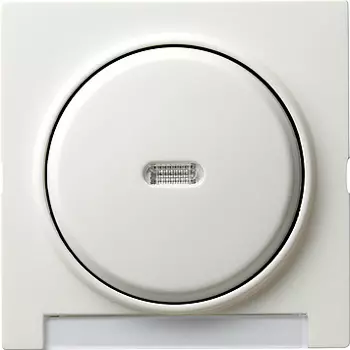 067040 Одинарная клавиша с подсветкой и полем для надписи Белый Gira S-color