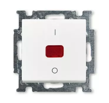 1020-0-0089 (1020/2 UCK-94-507), Выключатель с клавишей, 2-полюсный, 20 А, Basic 55, альпийский белый, ABB