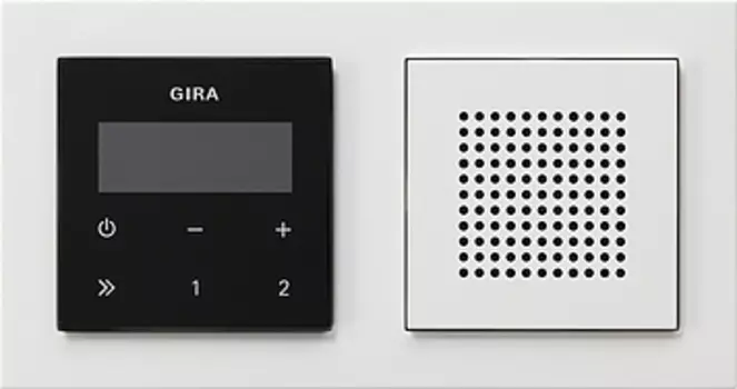 049572 Радио cкр. монт. RDS Белый Белый Gira