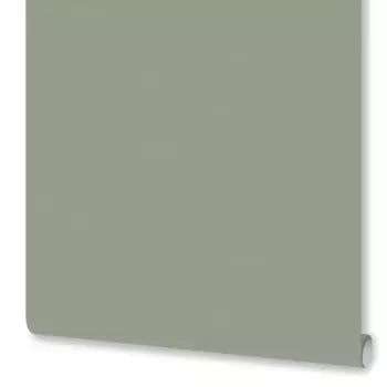 Обои флизелиновые Euro Decor Physalis зеленые 1.06 м ED7308-12