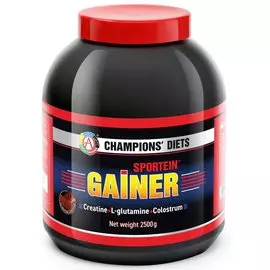 Гейнер SPORTEIN GAINER, вкус шоколад, 2500 г, Академия-Т