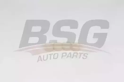 Шайба форсунки BSG BSG 30-116-152