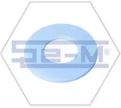 шайба кабины !пластик 32x70x4 \MAN F2000/F90 7555 SE-M