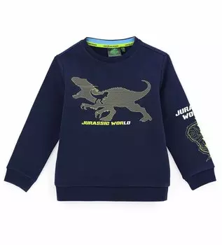 Толстовка для мальчика Original Marines (4-5 лет (Рост 104-110))