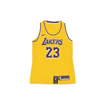 Nike Баскетбольная майка LeBron James Icon Edition Lakers Fan Pullover, женская майка, желтая AA7125-736 M