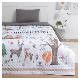 Покрывало "Этель" 2 сп Adventure, 180*220 см, микрофибра