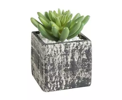 Искусственное растение в горшке Eglo Living CHITOSE