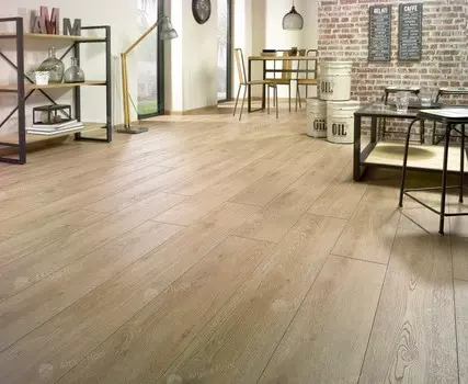 Distingo Cajun Oak