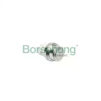 Датчик температуры автомобильные BORSEHUNG B18288