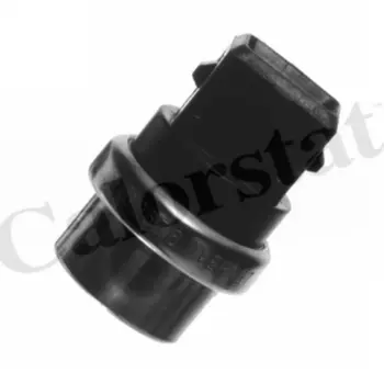 Датчик температуры автомобильные VERNET WS2576