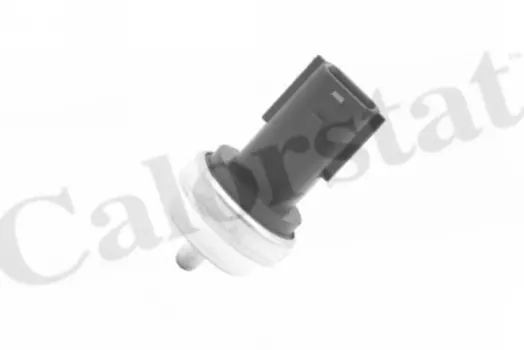 Датчик температуры автомобильные VERNET WS3019