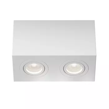 Накладной светильник Maytoni Technical C017CL-02W