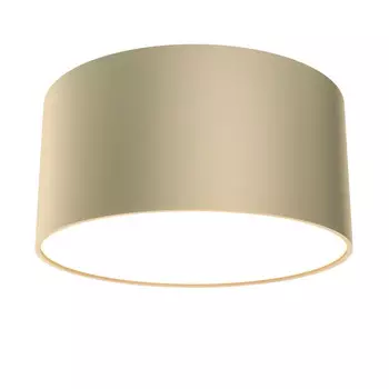 Накладной светильник Maytoni Technical C032CL-12W4K-RD-MG