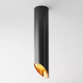 Накладной светильник Maytoni Technical C044CL-01-30GU10-B