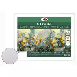 Холст грунтованный на картоне Гамма "Студия" 35х45 см
