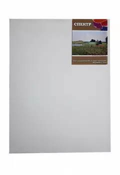 Холст на подрамнике грунтованный Реалистик СПЕКТР мелкозернистый 18x24 см