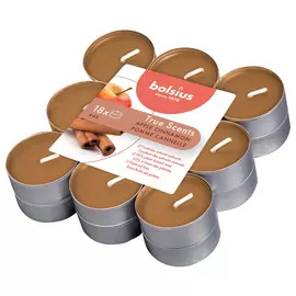 Свечи Bolsius чайные True Scents 18 шт яблоко и корица