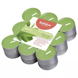 Свечи Bolsius чайные True Scents 18 шт зеленый чай