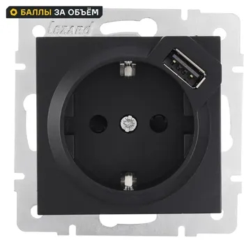 Розетка USB двойная встраиваемая Lezard Vesna 742-4288-181 с заземлением цвет черный
