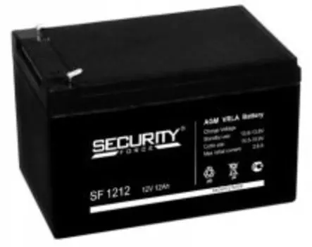 Аккумулятор Security Force