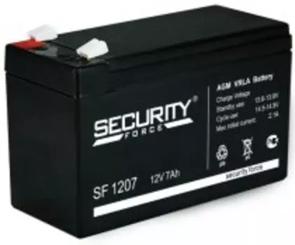 Аккумулятор Security Force