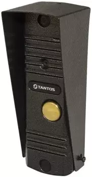 Вызывная панель Tantos WALLE+ (асфальт) цветная (накладная), ИК подсветка, 4-х проводная с регулиров