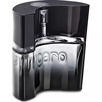 Ungaro Masculin