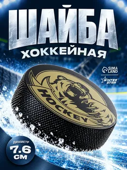 Шайба хоккейная winter star, взрослая, d=7,6 см