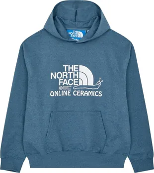 Худи The North Face x Online Ceramics Graphic Hoodie 'Blue Regrind', синий
