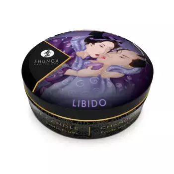 Массажное аромамасло в виде свечи Shunga "Exotic Fruits", 30мл.