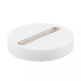 Однофазный шинопровод-адаптер Elektrostandard TRL-2-1-100-WH / Однофазный шинопровод-адаптер белый (a043925)