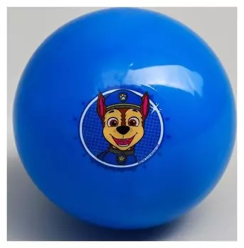 Мяч детский Paw Patrol "Гончик", 16 см, 50 гр
