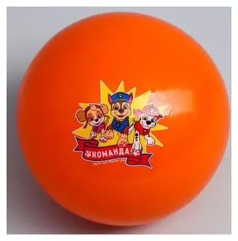 Мяч детский Paw Patrol "Команда", 16 см, 50 гр