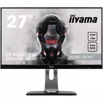 Монитор Iiyama