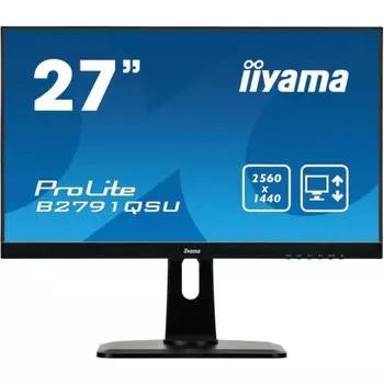 Монитор Iiyama