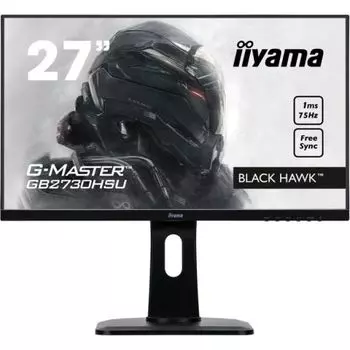 Монитор Iiyama