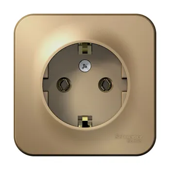 Розетка Schneider Electric Blanca, открытый монтаж, однопостовая, с з/к, 16A, в сборе с изолирующей пластиной, IP20, титан (BLNRA010114)