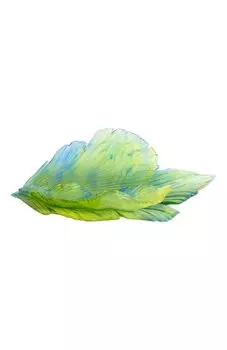 Блюдо для фруктов Fleur De Paon Exotique Daum