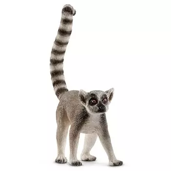 Кошачий лемур