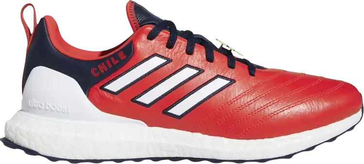Кроссовки Adidas UltraBoost DNA 'Copa World Cup - Chile', красный