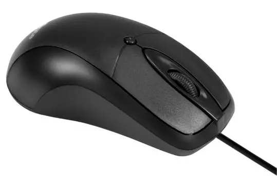 Мышь Exegate B100L EX298196RUS (USB, оптическая, 1000dpi, 3D, 3 кнопки и колесо прокрутки, длина кабеля 2м, черная, Color Box)