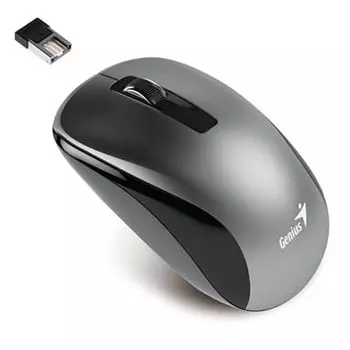 Мышь Wireless Genius NX-7010 31030018405 Gray, 2.4GHz, BlueEye 1200 dpi, 1xAA