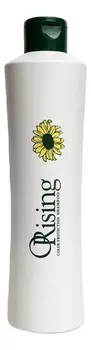 Шампунь для окрашенных волос Color Protection Shampoo: Шампунь 750мл