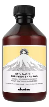 Шампунь против перхоти Natural Tech Purifying Shampoo: Шампунь 250мл