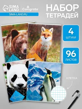 Набор тетрадей, 96 листов в клетку, calligrata