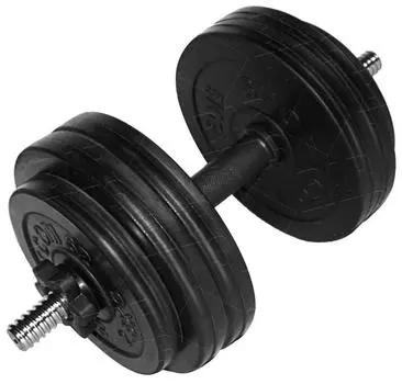 Гантель разборная BARFITS Sportcom D26 26,5кг