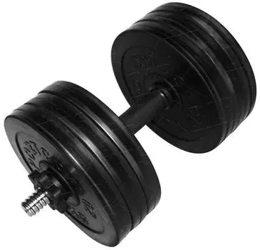 Гантель разборная BARFITS Sportcom D26 31,5кг